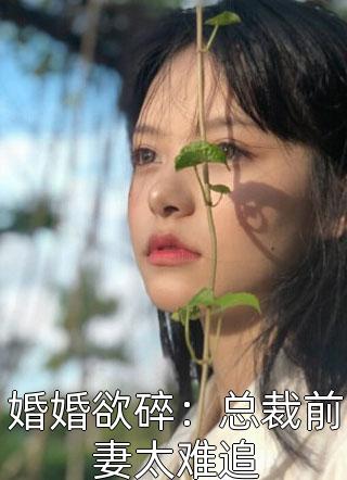 婚婚欲碎：总裁前妻太难追小说