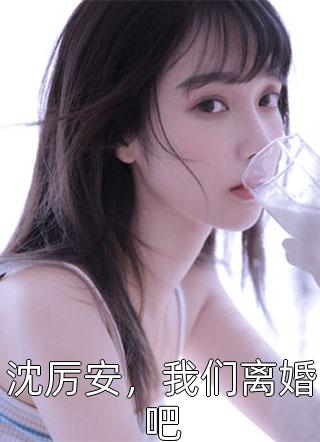 沈厉安，我们离婚吧小说