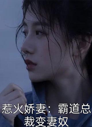 惹火娇妻：霸道总裁变妻奴小说