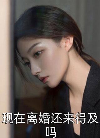 现在离婚还来得及吗小说