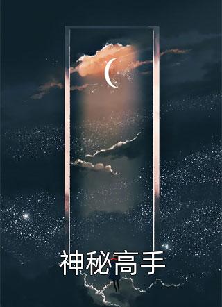 神秘高手小说