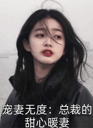 宠妻无度：总裁的甜心暖妻小说