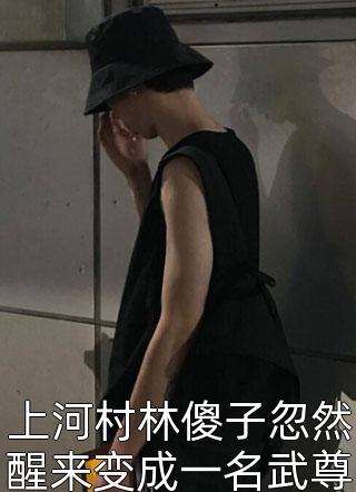 上河村林傻子忽然醒来变成一名武尊小说