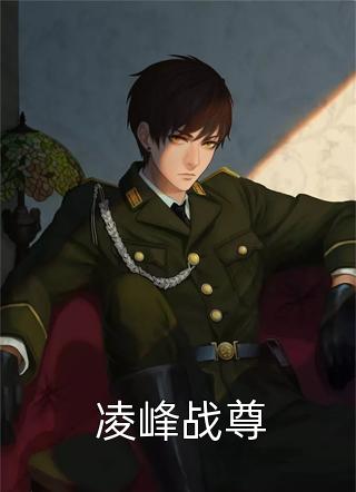 凌峰战尊小说