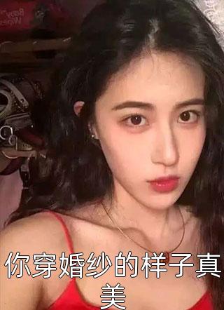 你穿婚纱的样子真美小说