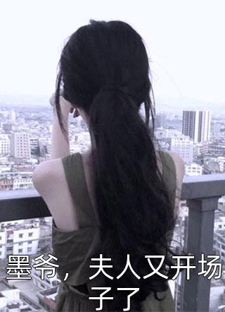 墨爷，夫人又开场子了小说