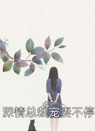 深情总裁宠妻不停小说