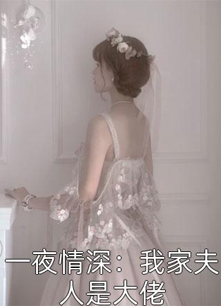 一夜情深：我家夫人是大佬小说