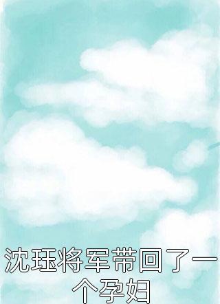 沈珏将军带回了一个孕妇小说