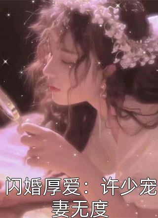 闪婚厚爱：许少宠妻无度小说