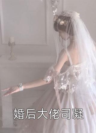 婚后大佬司凝小说