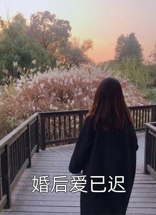 婚后爱已迟小说