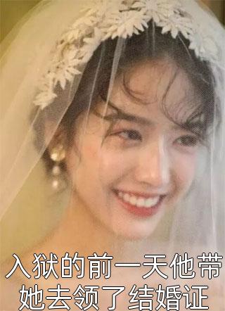 入狱的前一天他带她去领了结婚证小说