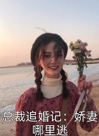 总裁追婚记：娇妻哪里逃小说