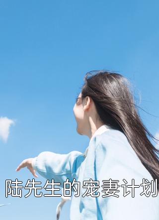 陆先生的宠妻计划小说