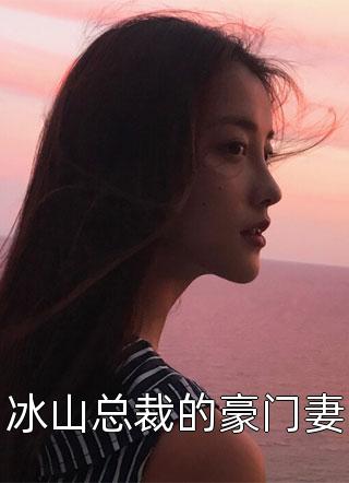 冰山总裁的豪门妻小说