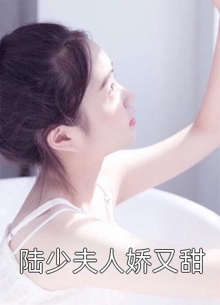 陆少夫人娇又甜小说