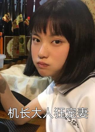 机长大人狂宠妻小说