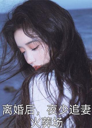 离婚后，夜少追妻火葬场小说