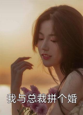 我与总裁拼个婚小说