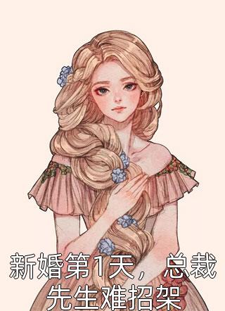 新婚第1天，总裁先生难招架小说