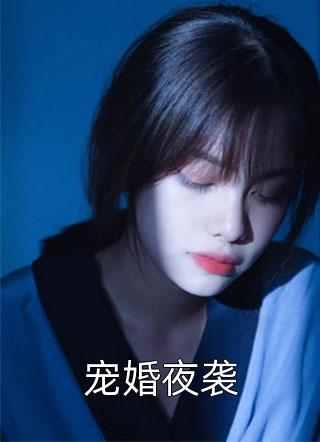 宠婚夜袭小说