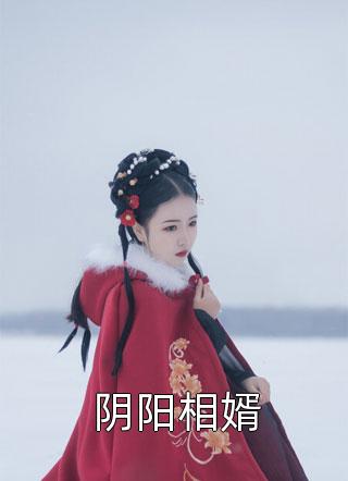 阴阳相婿小说