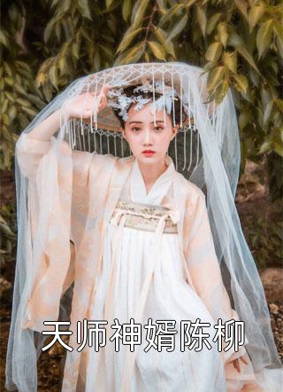 天师神婿陈柳小说