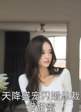 天降盛宠闪婚总裁很甜蜜小说