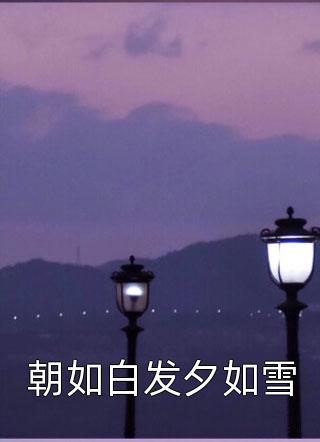 朝如白发夕如雪小说