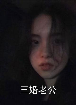 三婚老公小说