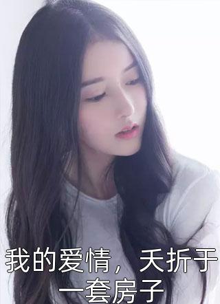 我的爱情，夭折于一套房子小说