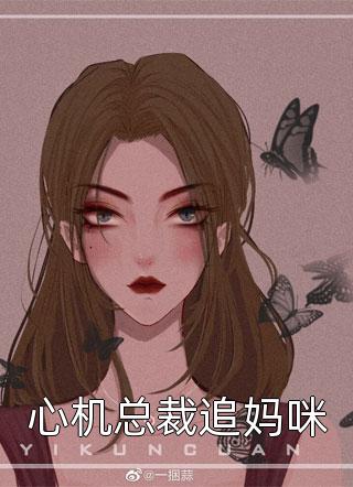 心机总裁追妈咪小说