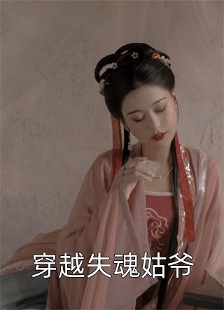 穿越失魂姑爷小说