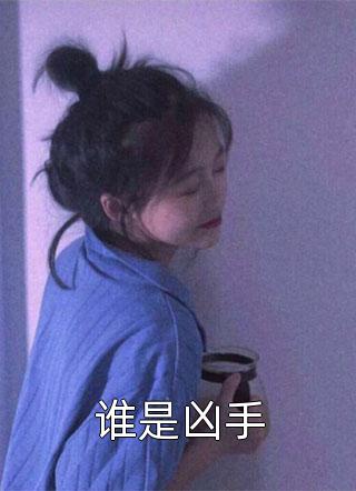 谁是凶手小说