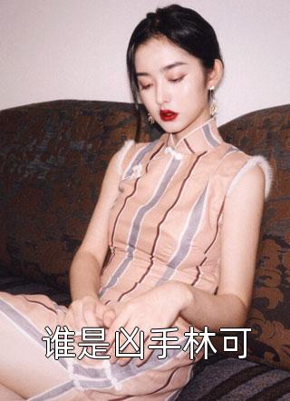 谁是凶手林可小说