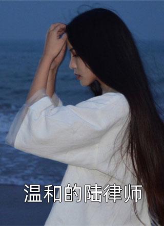 温和的陆律师小说