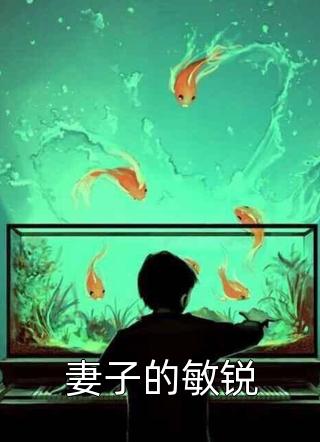 妻子的敏锐小说