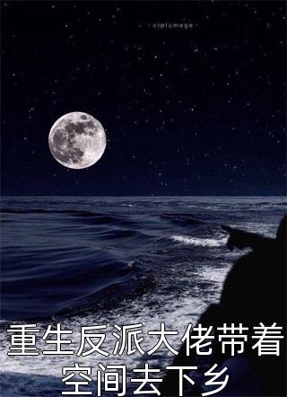 重生反派大佬带着空间去下乡小说