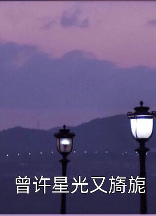 曾许星光又旖旎小说