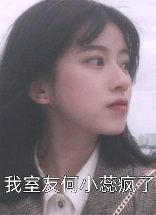 我室友何小蕊疯了小说