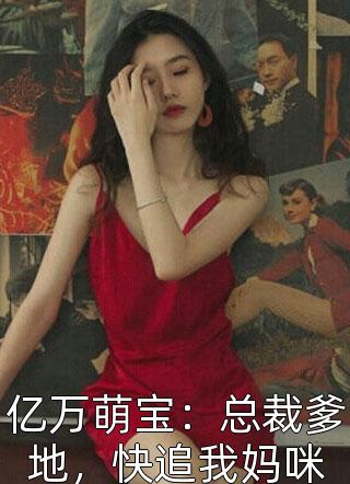 亿万萌宝：总裁爹地，快追我妈咪小说