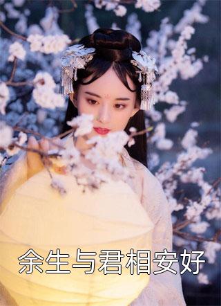 余生与君相安好小说