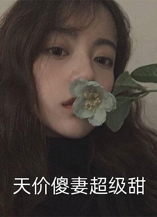 天价傻妻超级甜小说