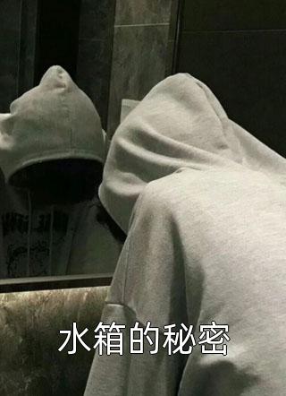 水箱的秘密小说