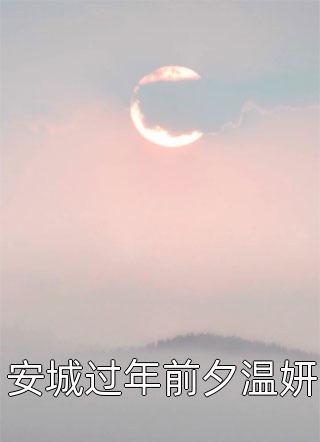 安城过年前夕温妍小说