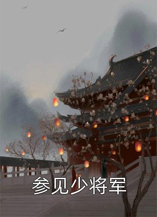 参见少将军小说