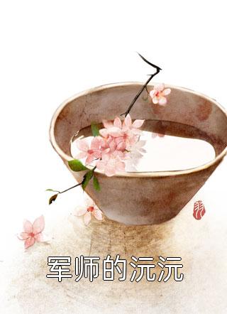 军师的沅沅小说