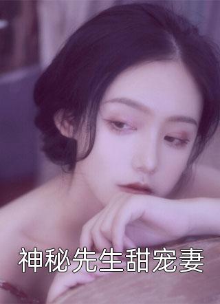 神秘先生甜宠妻小说