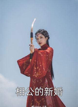 相公的新婚小说